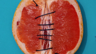 Grapefruit zugenäht